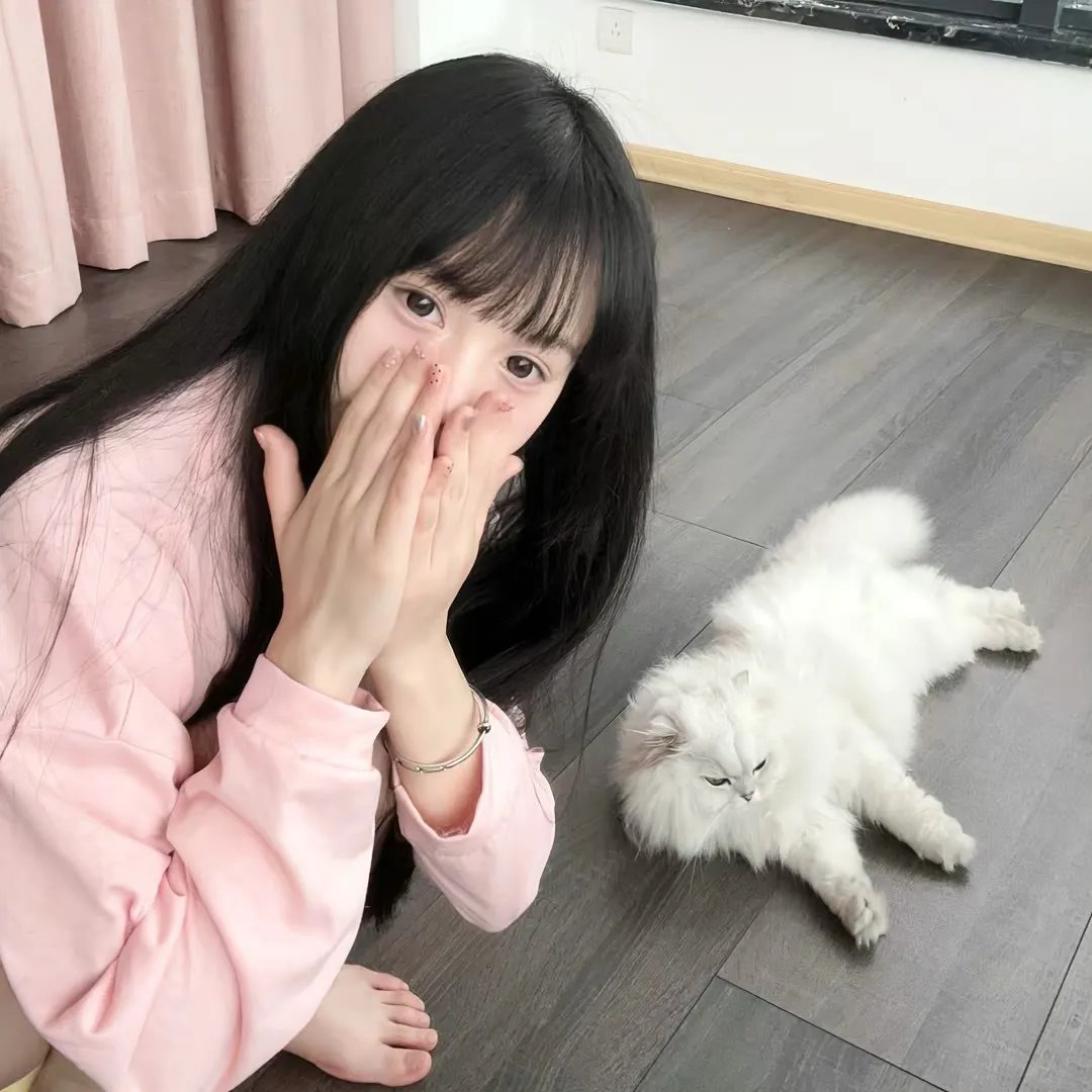 罪案终结第七季